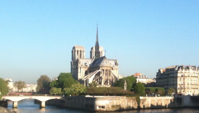 Cathédrale Notre-Dame de Paris / Réouverture le 8 Décembre 2024