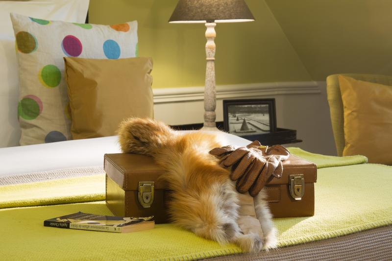 Hôtel Le Petit Chomel - habitaciones